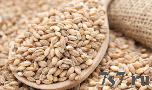 Перловая крупа 50 кг. ГОСТ